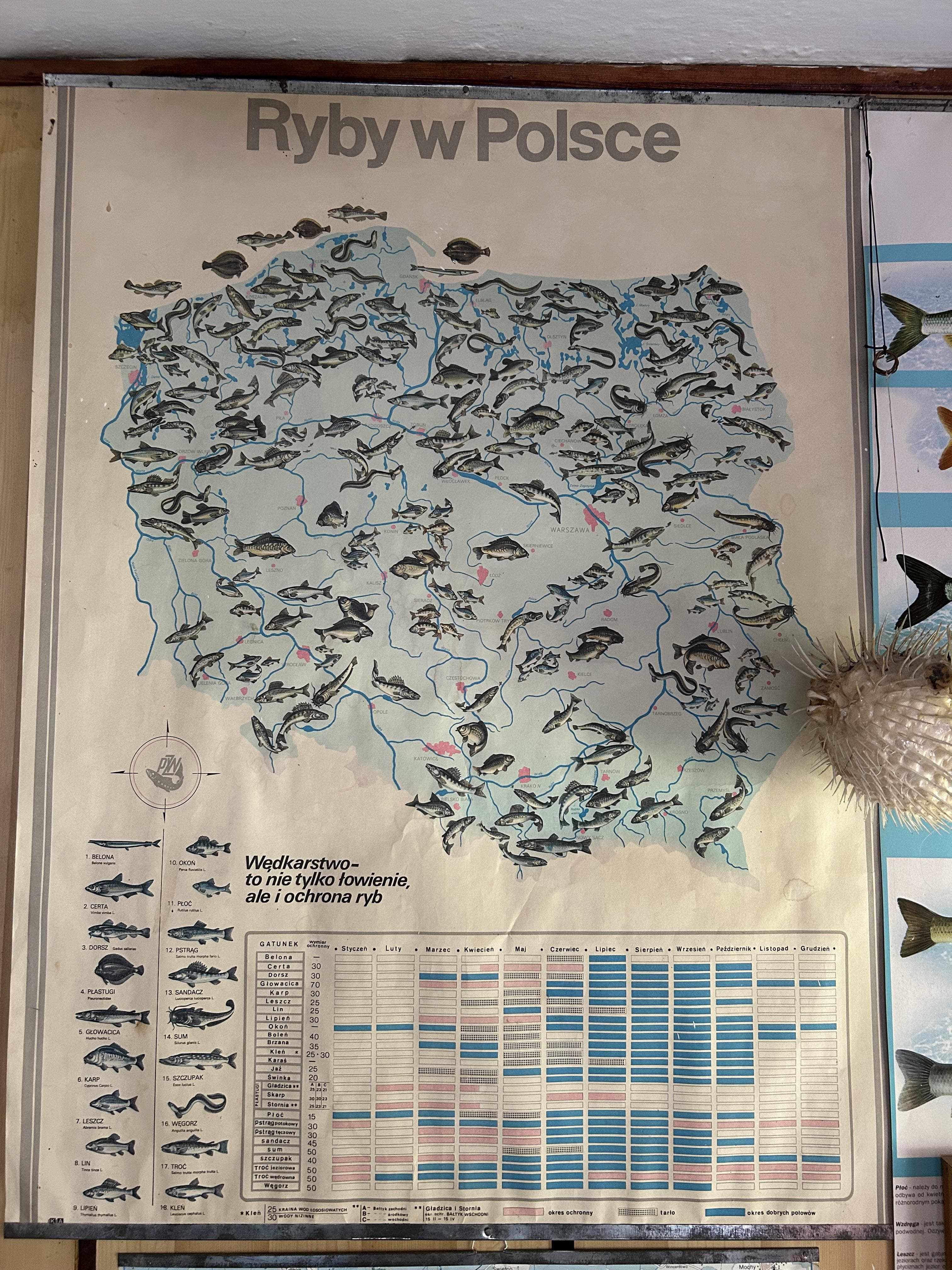 Freshwater Fish Distribution Map of Poland