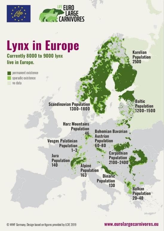 Lynx Distribution Map in Europe