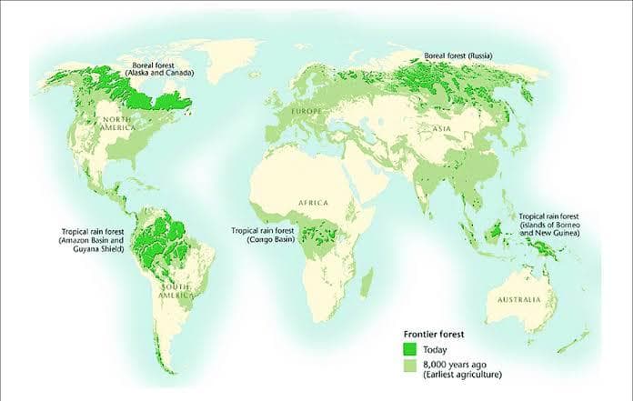 Map of Countries with Largest Forest Coverage 2025