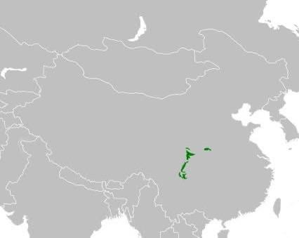 Giant Panda Natural Habitat Map