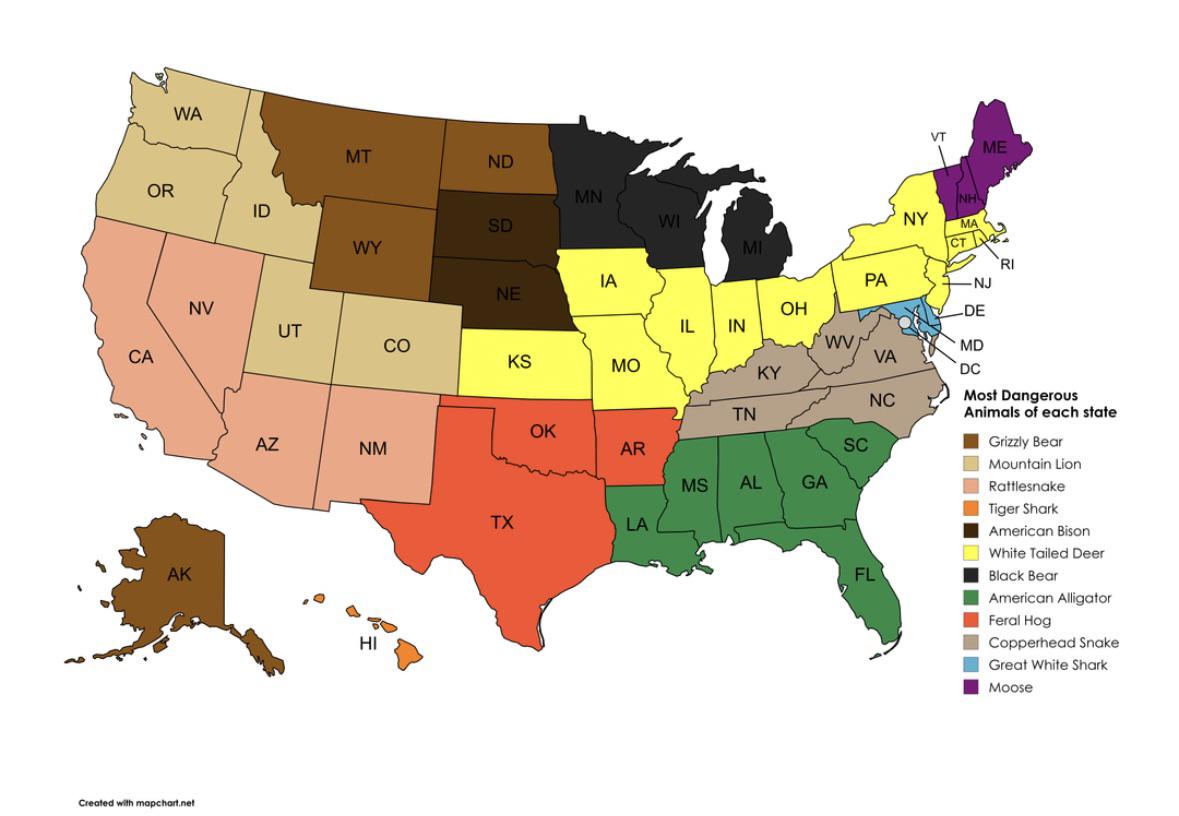 Most Dangerous Animal by State Map Most Dangerous Animal by State Map