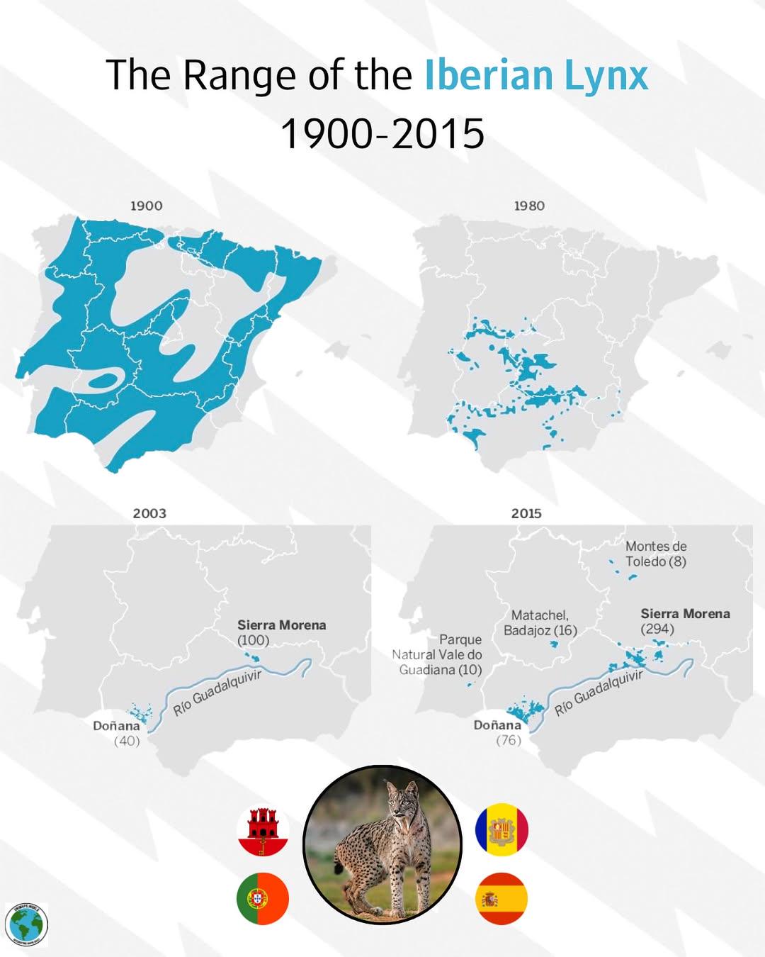 Iberian Lynx Range Map 1900-2015 Iberian Lynx Range Map 1900-2015