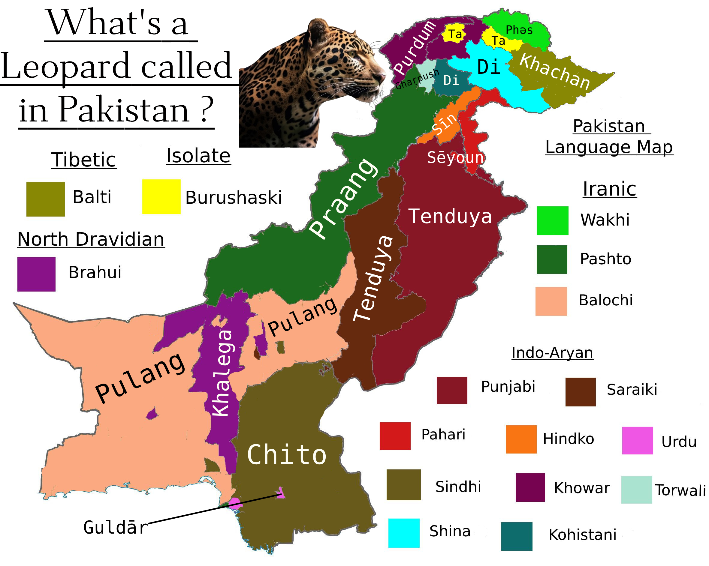 What is a Leopard Called in Pakistan Map