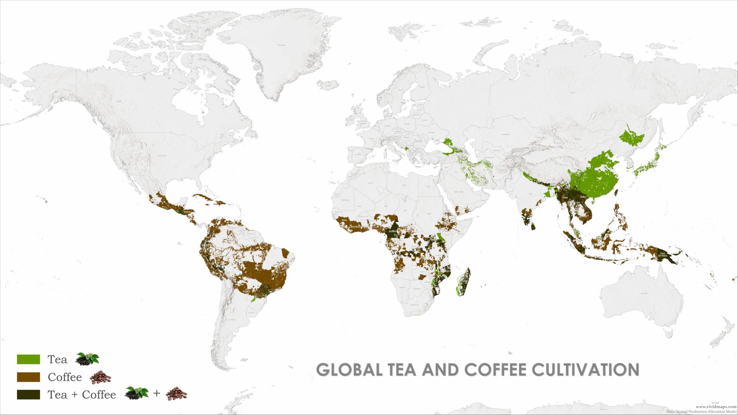 Coffee and Tea Consumption Map by Country