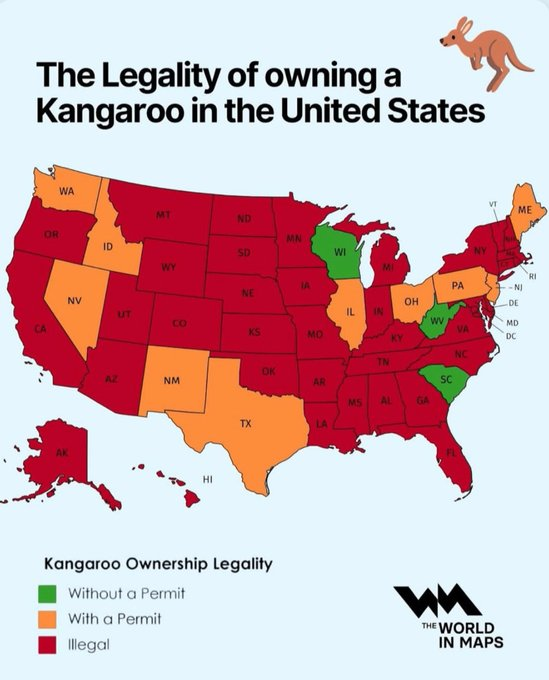 Legality of Owning a Kangaroo Map Legality of Owning a Kangaroo Map