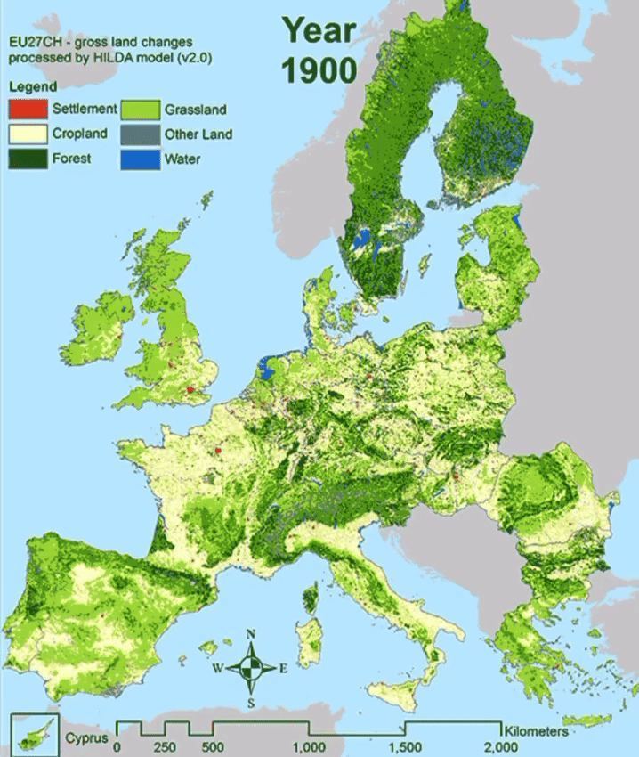 Forest Rebirth Map: Global Reforestation Trends