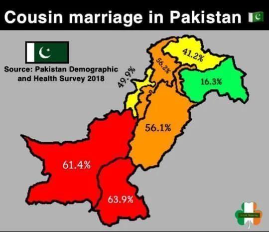 Rates of Consanguinity in Pakistan Map Rates of Consanguinity in Pakistan Map
