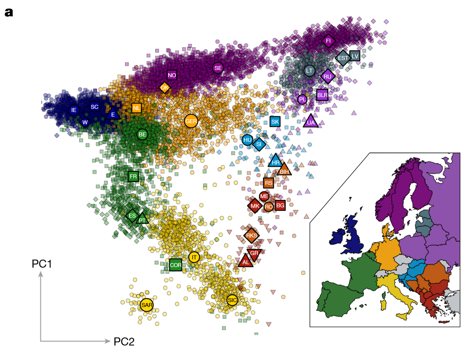 Genetic Clusters of Europe Map