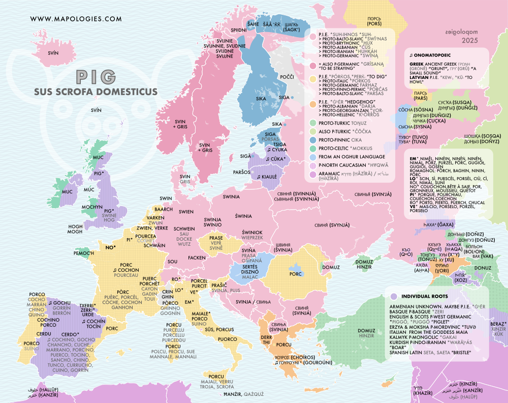 Etymology Map of Pig