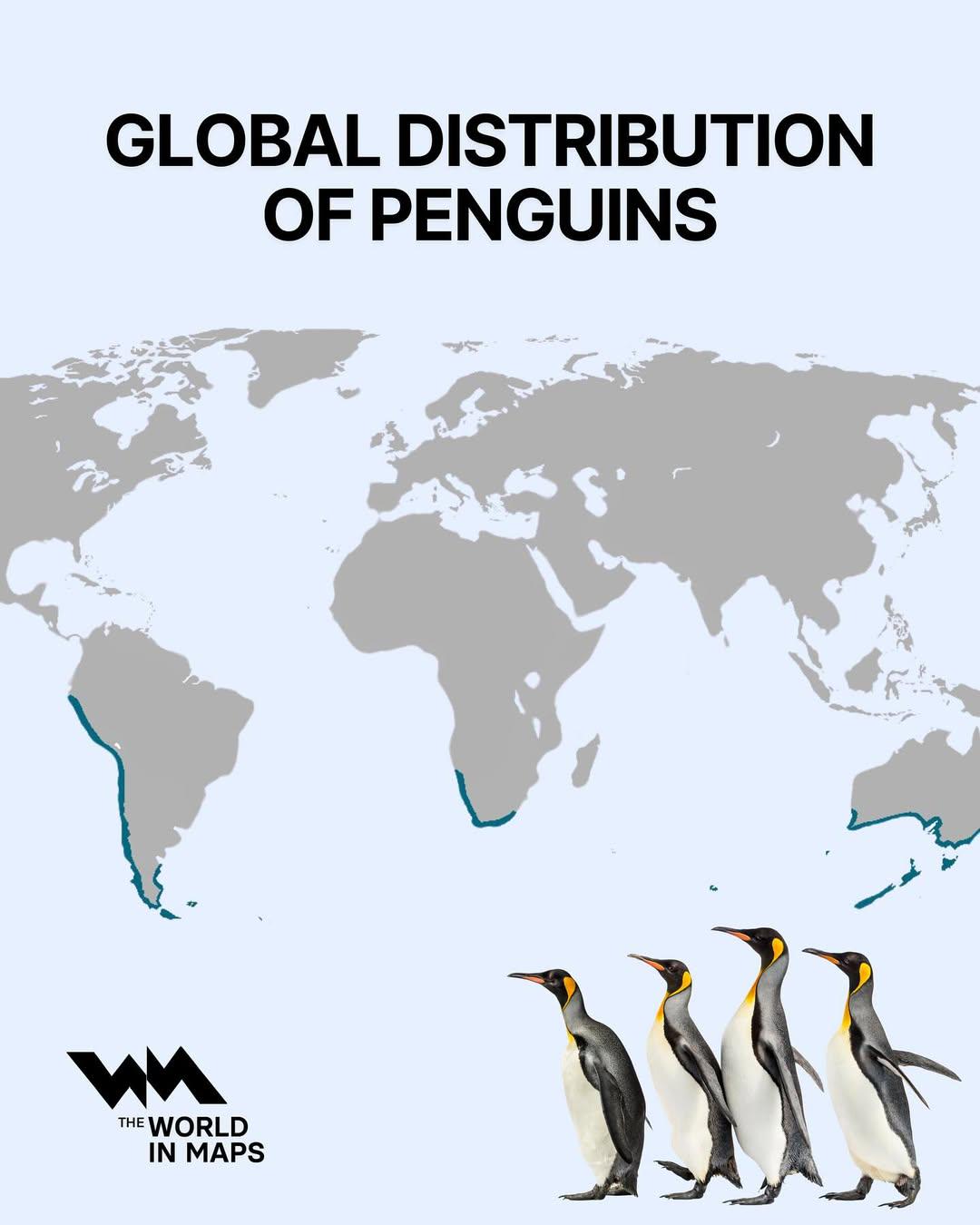 Global Distribution of Penguins Map Global Distribution of Penguins Map