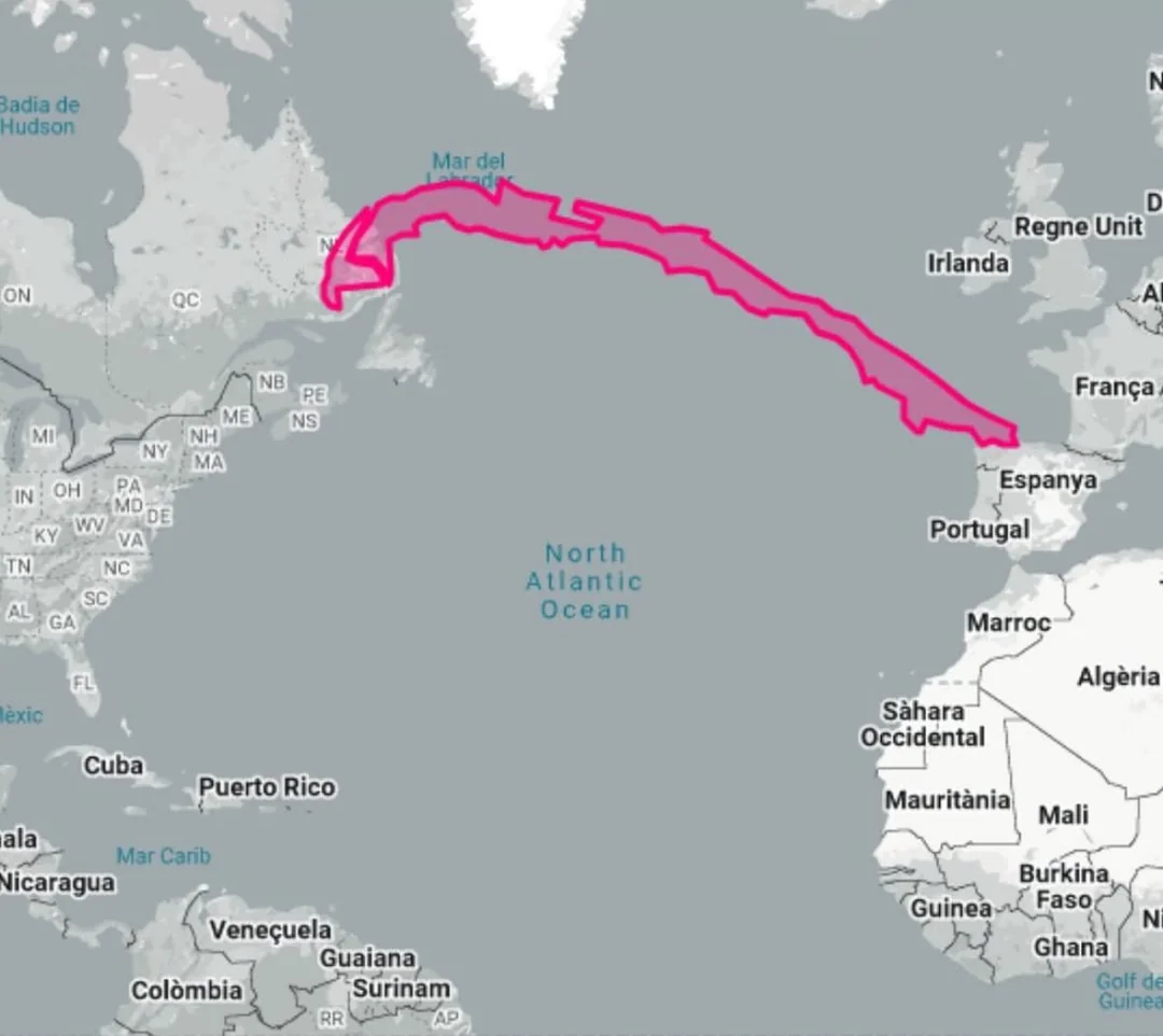 Global Population Density Map