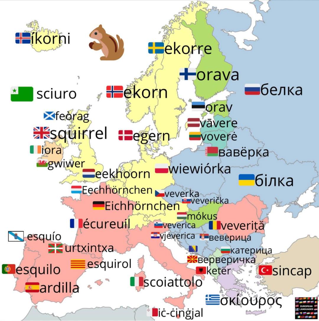 Squirrel Names in European Languages Map Squirrel Names in European Languages Map