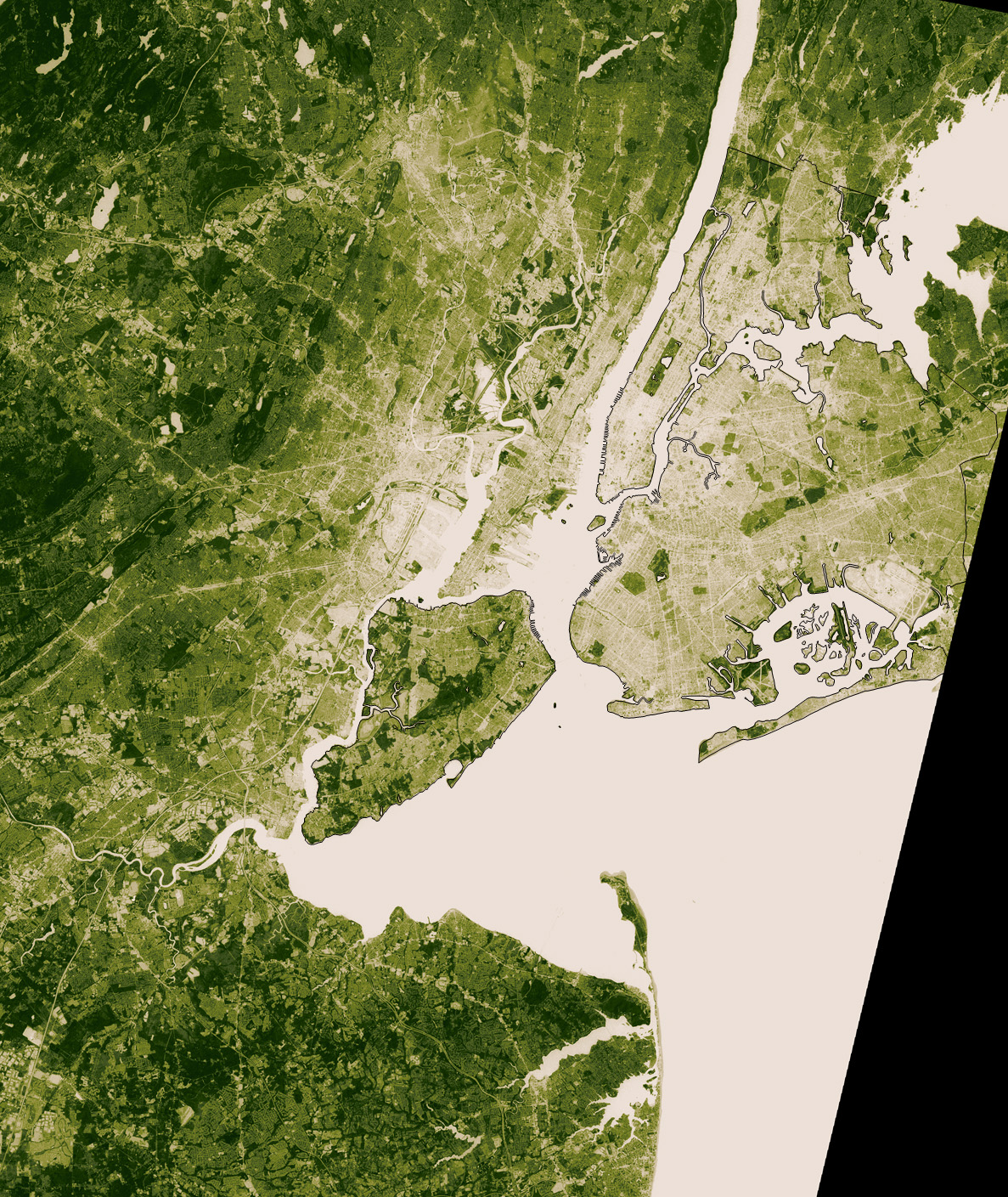 Vegetation Map of New York City Vegetation Map of New York City