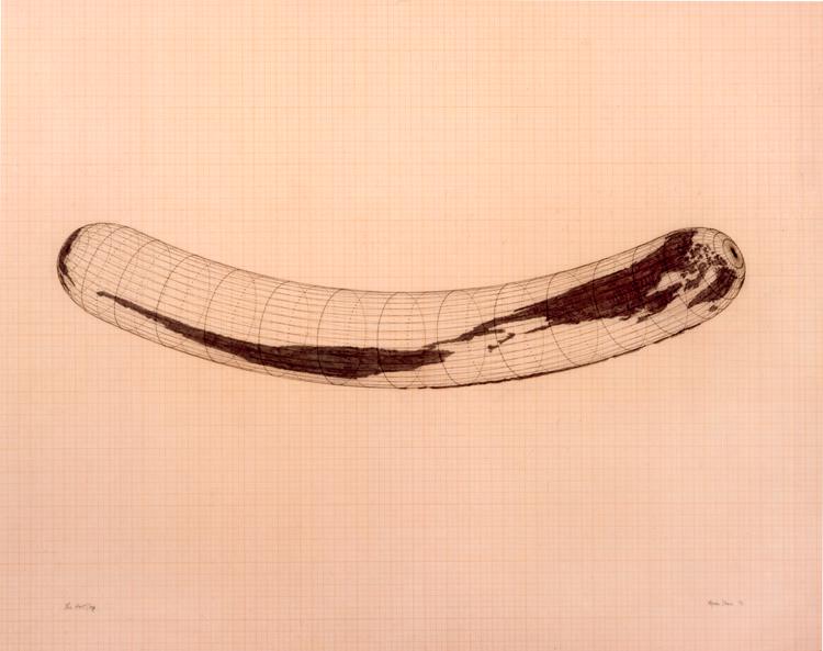 Agnes Denes Hot Dog Map Projection Analysis