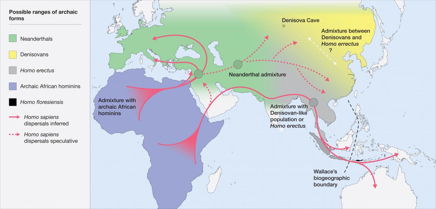 Hominin Distribution Map Hominin Distribution Map