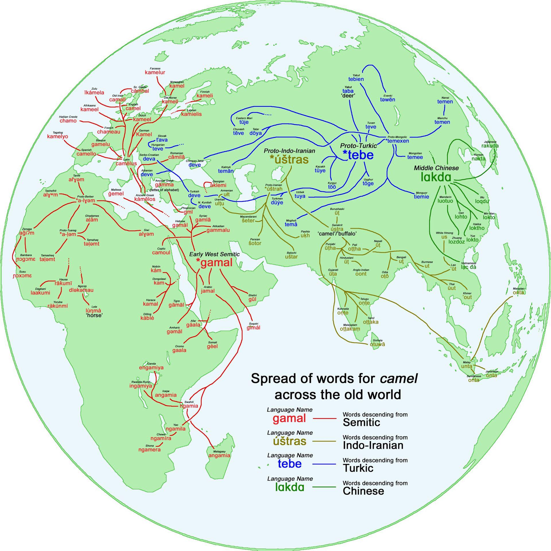 Language Distribution Map for the Word Camel Language Distribution Map for the Word Camel