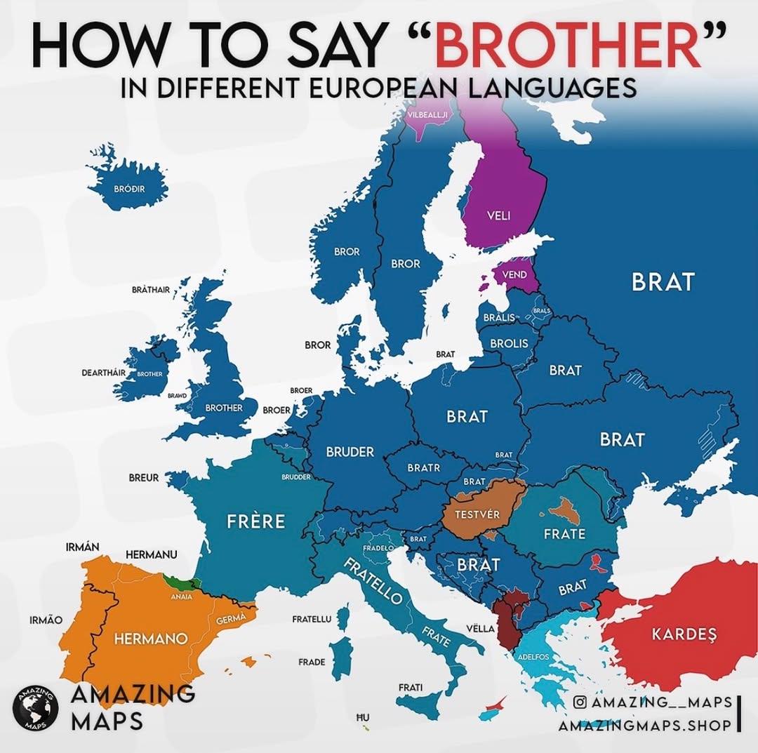 Brother in Different European Languages Map