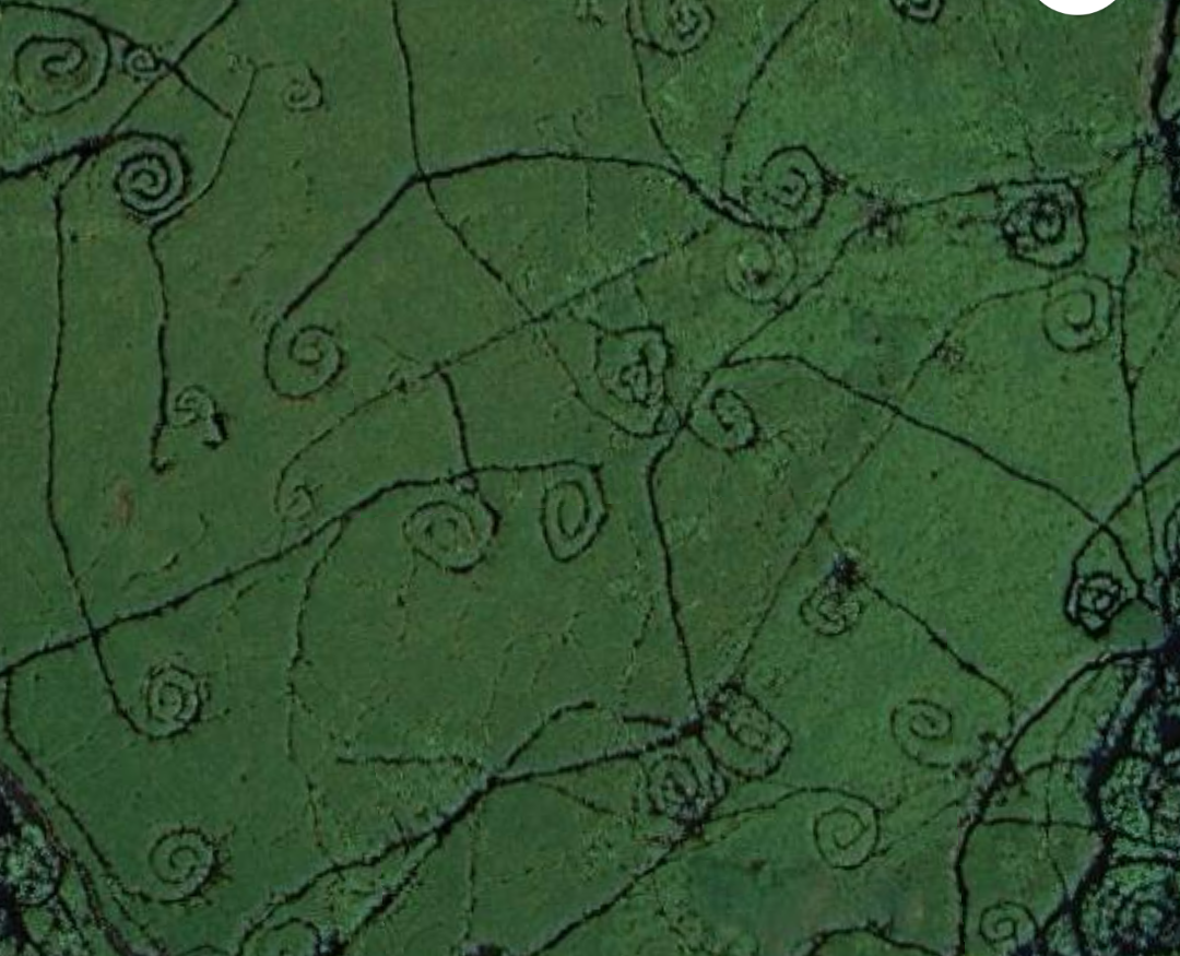 DRC Swamp or Mangroves Map DRC Swamp or Mangroves Map